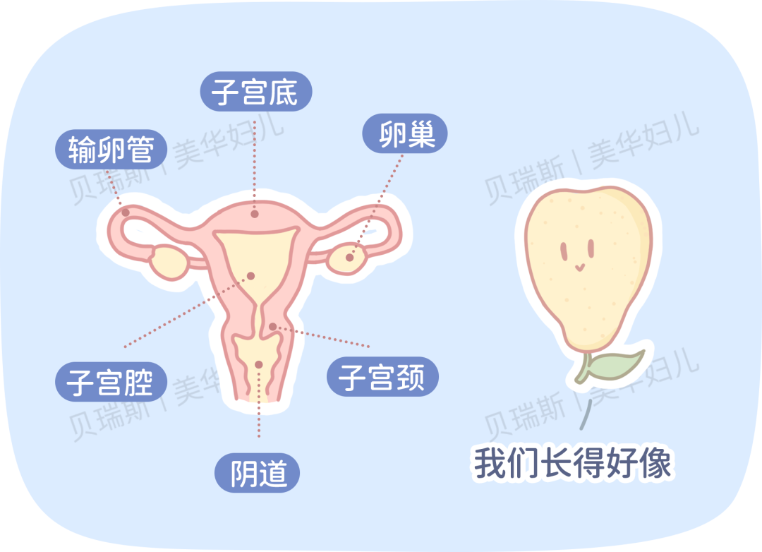子宫内膜异位症抽象概念矢量插图。插画图片素材_ID:421522534-Veer图库