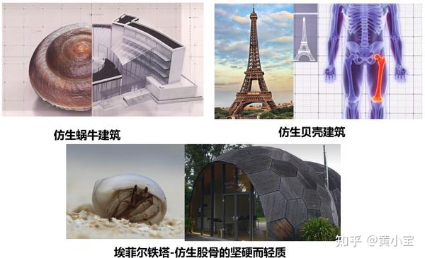 仿生结构的研究与展望 - 知乎