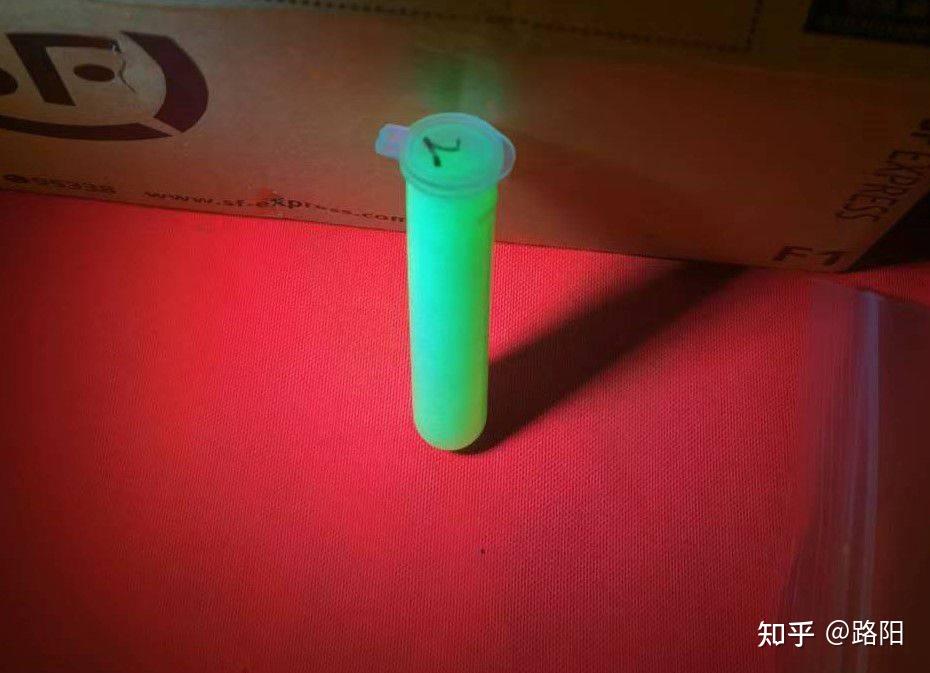如何观察荧光微球的荧光？ - 知乎