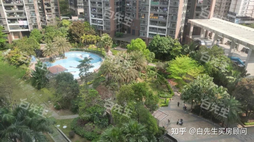 撑起龙华红山房价的深高北,学区内四大楼盘谁最强? - 知乎