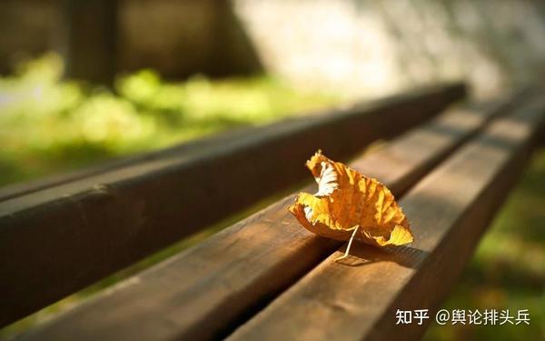 那些被遗忘的民国作家作品中藏着哪些现代启示 (那些被遗忘的古老叙事)