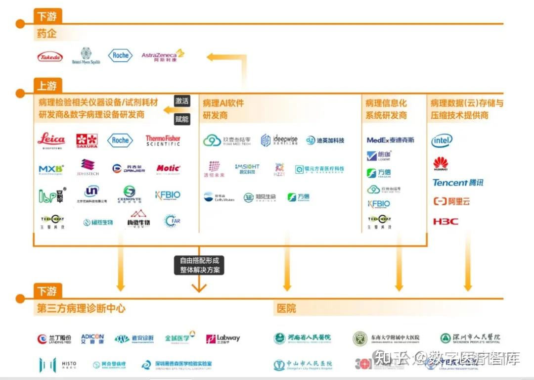 赋能盘活传统病理检验市场数智病理业务普遍翻番