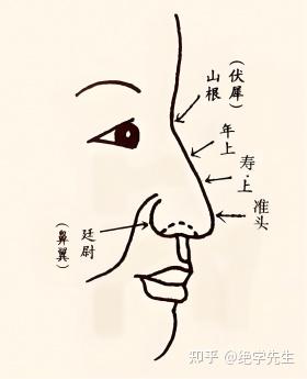 大富的人看鼻如何看 - 知乎