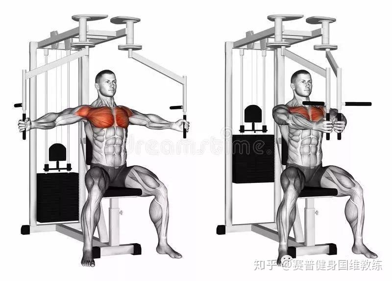 胸肌全面训练图解,胸沟上胸中胸下胸全部到位! - 知乎