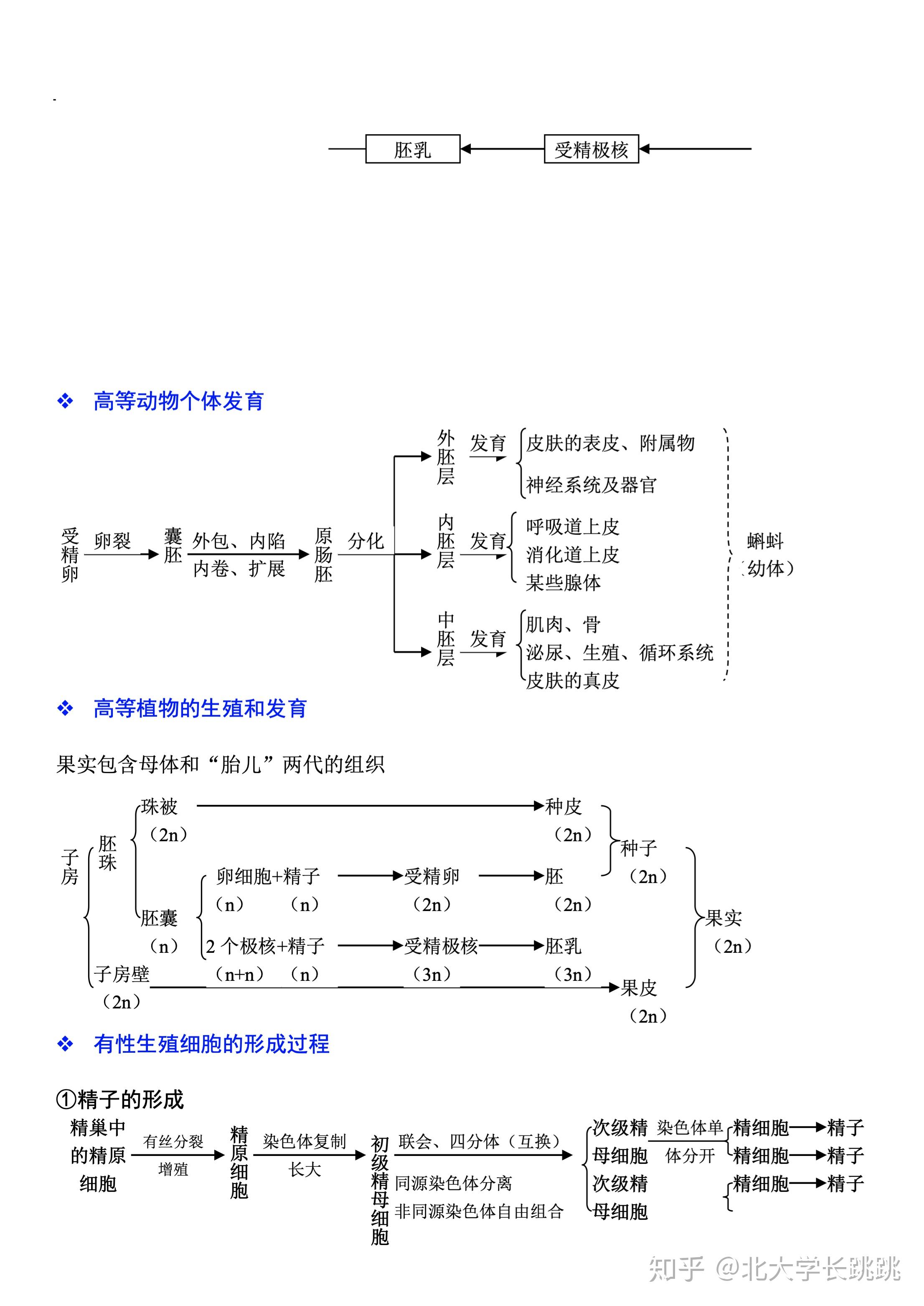 高中生物知识框图图片