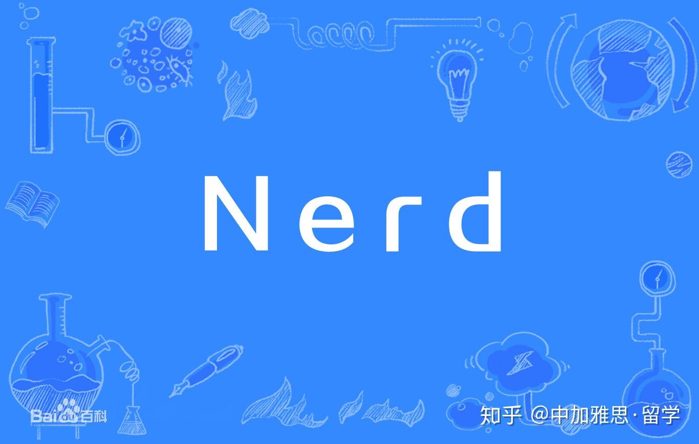 书呆子”，“怪胎”和“傻瓜”之间有什么区别？ - 知乎