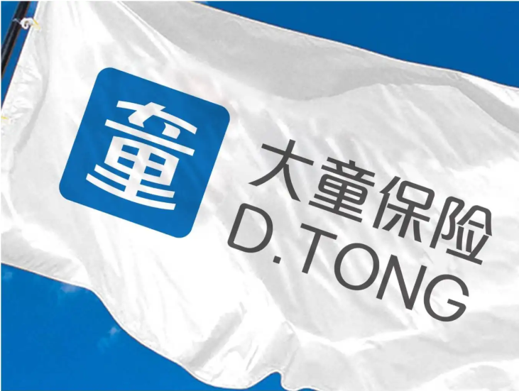 一,大童保险服务有哪些?实力怎么样?