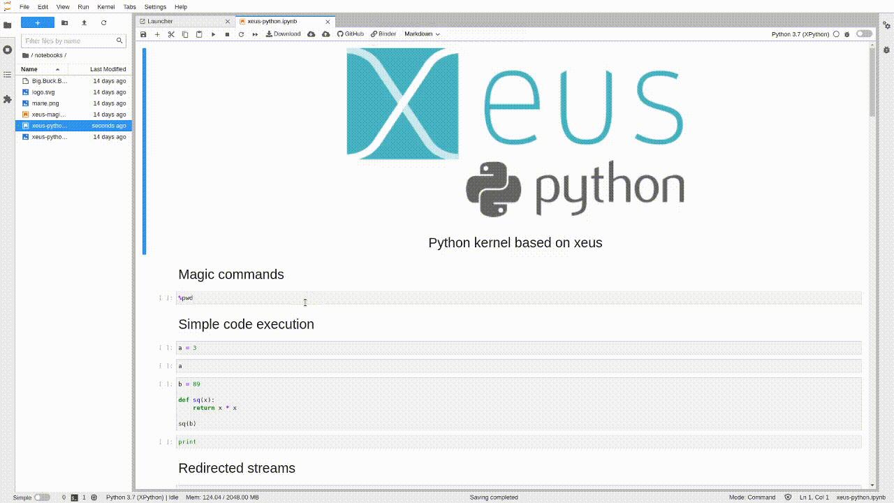 Jupyter ipython 