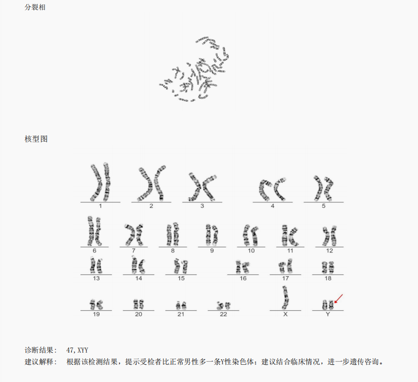 一文教你看懂染色体核型分析报告 - 知乎