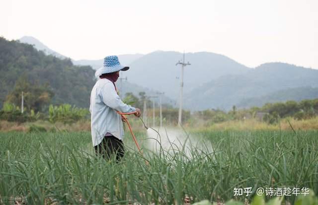 百草枯有多可怕如果誤食了怎麼辦它真的無解嗎