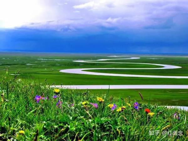 新疆最美的六大草原 绿草如织 骏马驰骋 美得一塌糊涂 知乎