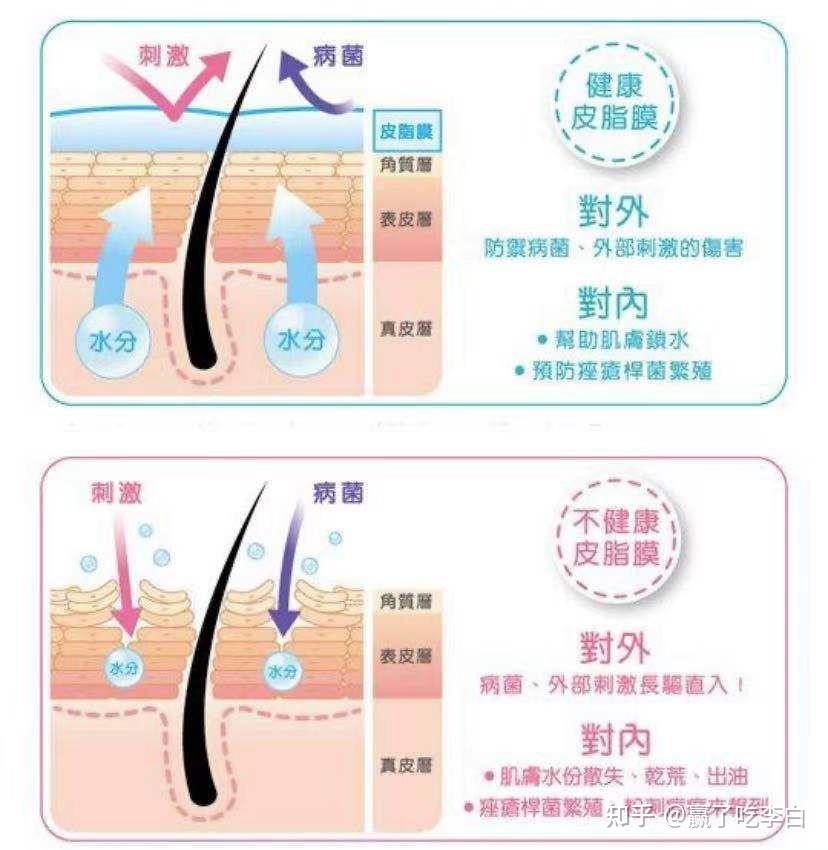 抵抗外界环境的能力强,不易敏感,但是也因此,皮肤的吸收能力相对较弱