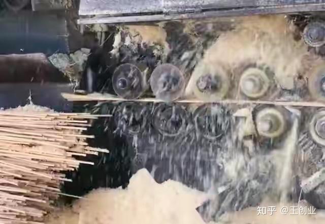 竹子加工赚钱吗知乎(竹子加工有什么好的程序!)
