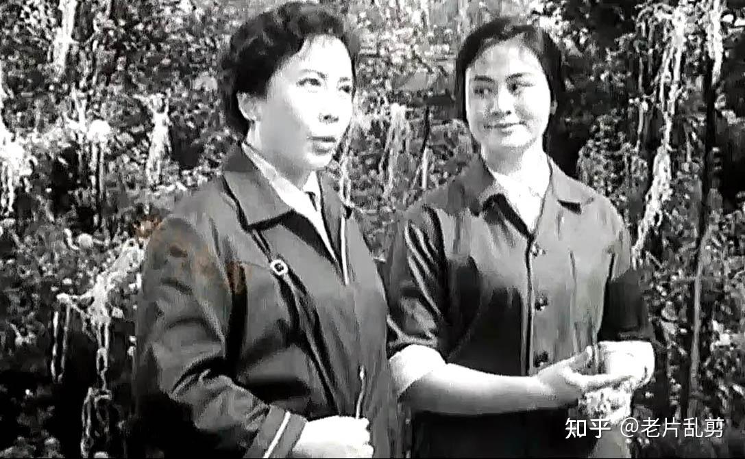 1981年参演电影《爱情啊,你姓什么》扮演林母1982年参演方舒主演的