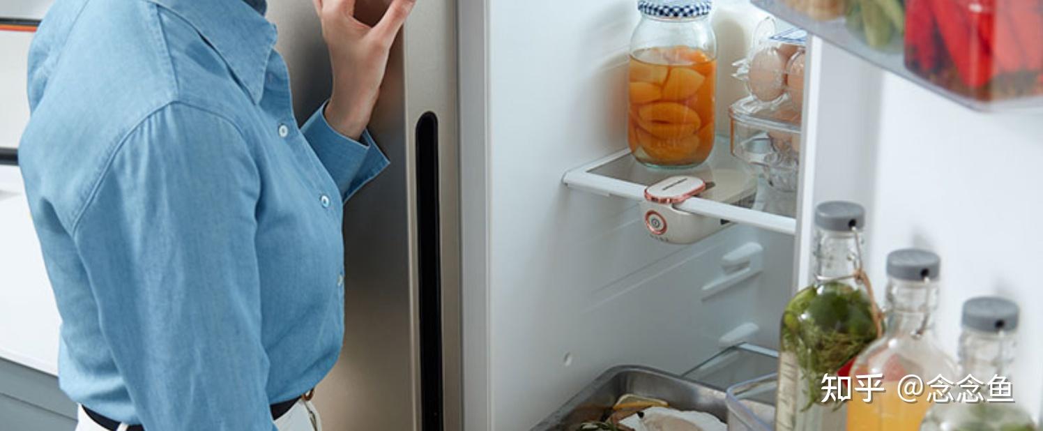 2021冰箱除味器推荐冰箱除味器怎么用冰箱除味杀菌器推荐