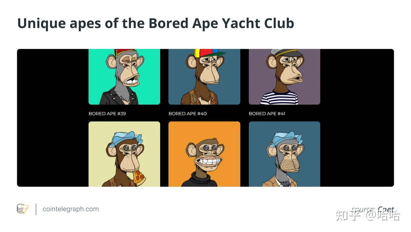 什么是ApeCoin，它是如何工作的？ - 知乎