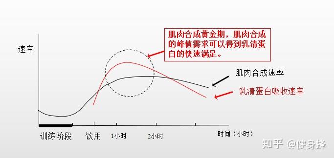 减脂期吃什么蛋白质最好 v2-65ec3d9c0e75c443ba03390e54551fe1_r.jpg