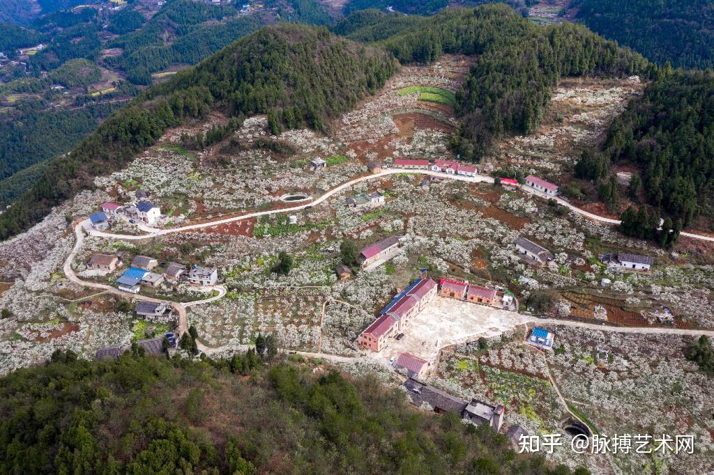 美丽乡村高潮有你只待你来去秭归县沙镇溪镇高潮村赏李花