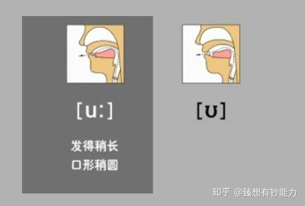英语音素发音图解口形及发音方法 - 知乎