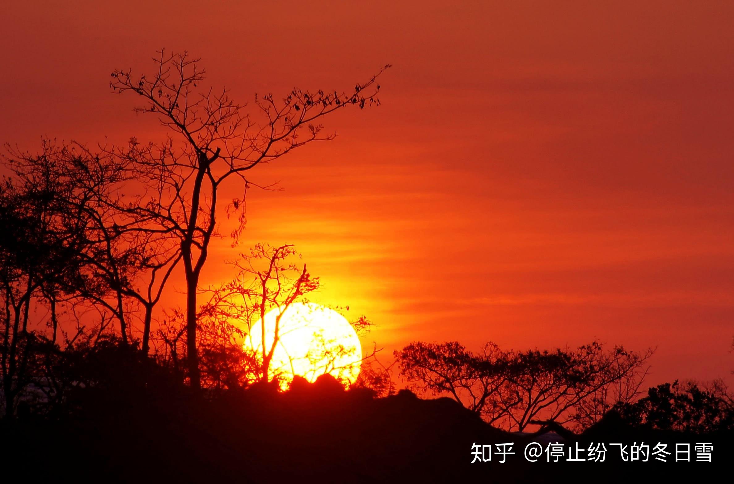 陌生人可否让我看一下你手机里保存的最唯美的图片