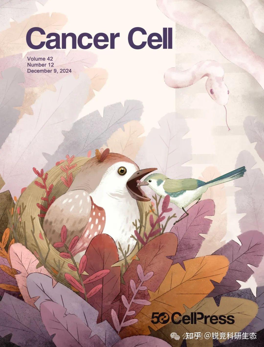 《Cancer Cell》封面设计全过程分享 | Vol. 42 No.12 - 知乎