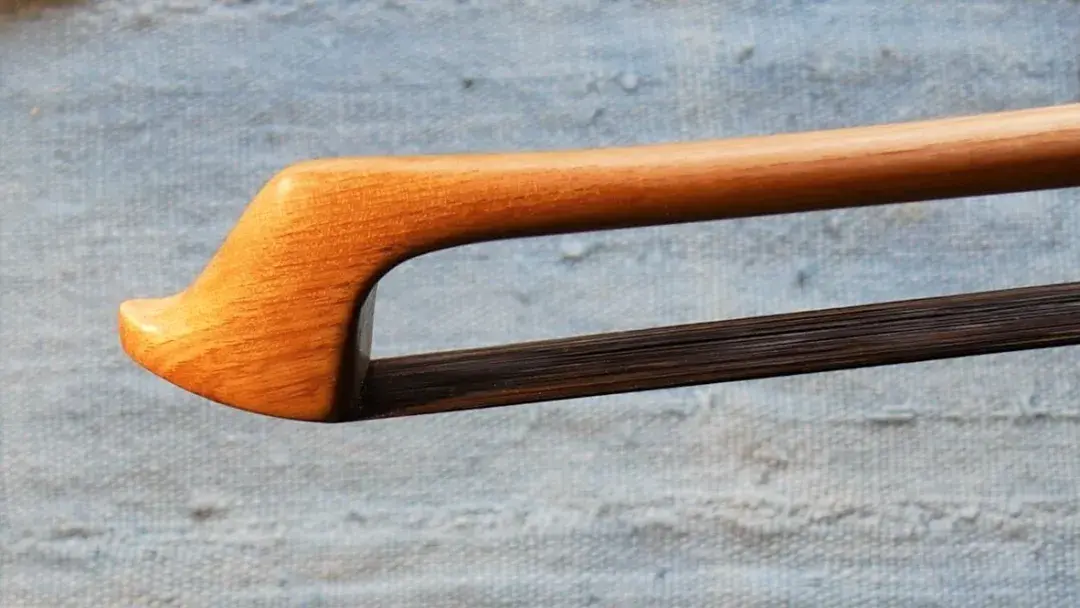 什么你竟然不知道弓子也需要保养