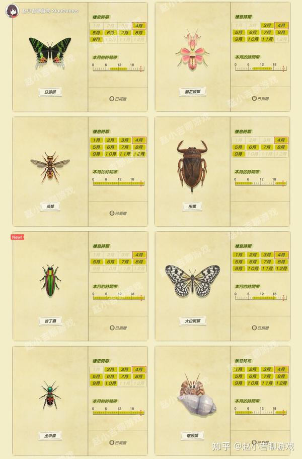 动森生物图鉴虫类图片