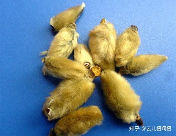 《叮咚民艺》——几味中药,治治你的"不开心病"---毛猴孙