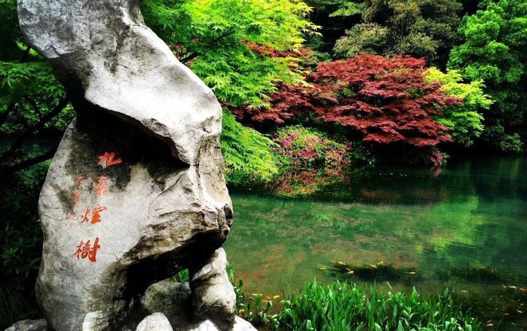 中式庭院白墙黛瓦还有透明小船悬浮在池中央丨杭州溪中溪