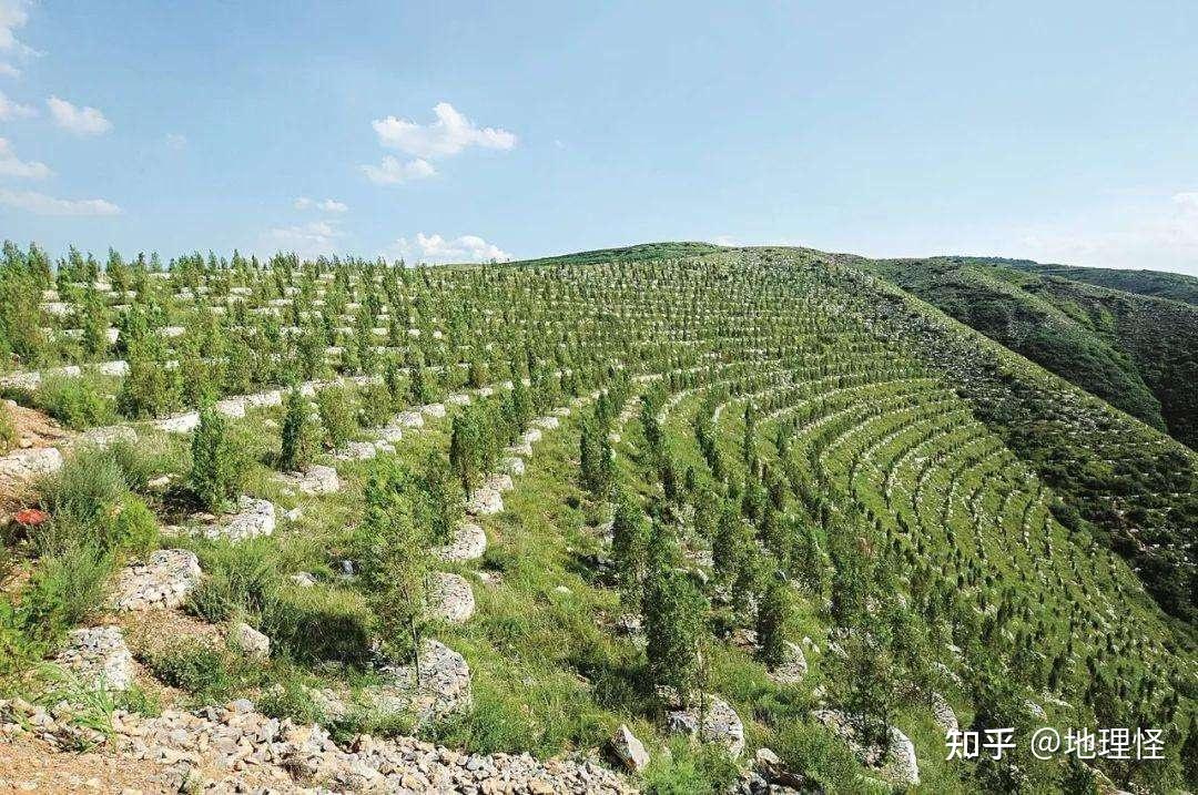 说说鱼鳞坑 - 知乎