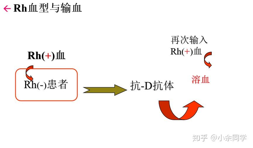 rh血型阳性D变异什么意思? - 知乎