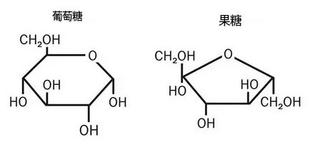 甲基五碳糖结构图图片