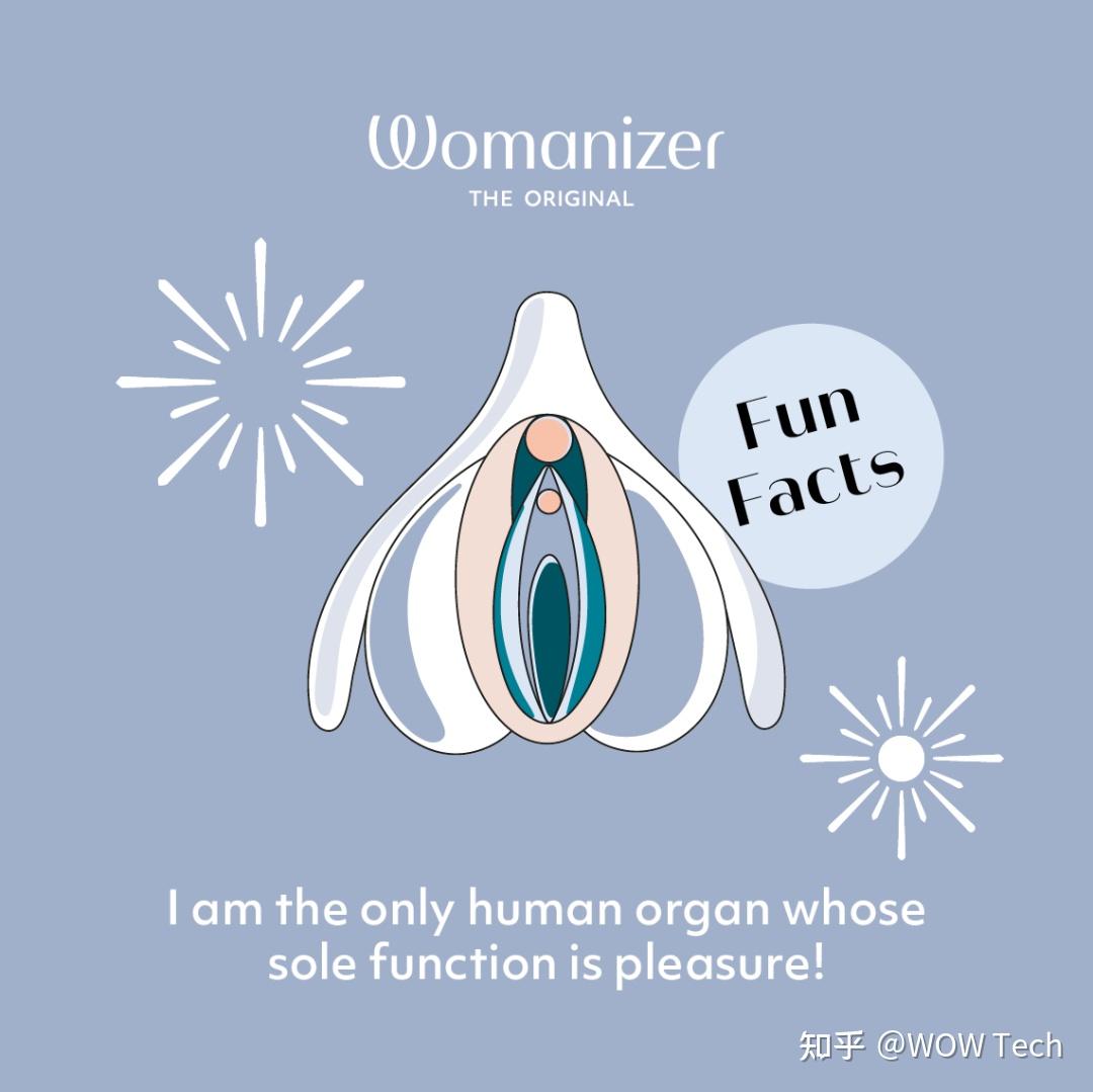 人体里专职快乐的器官只有阴蒂