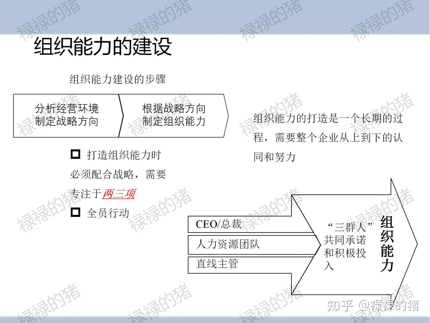 组织工具-杨三角全文解析 - 知乎