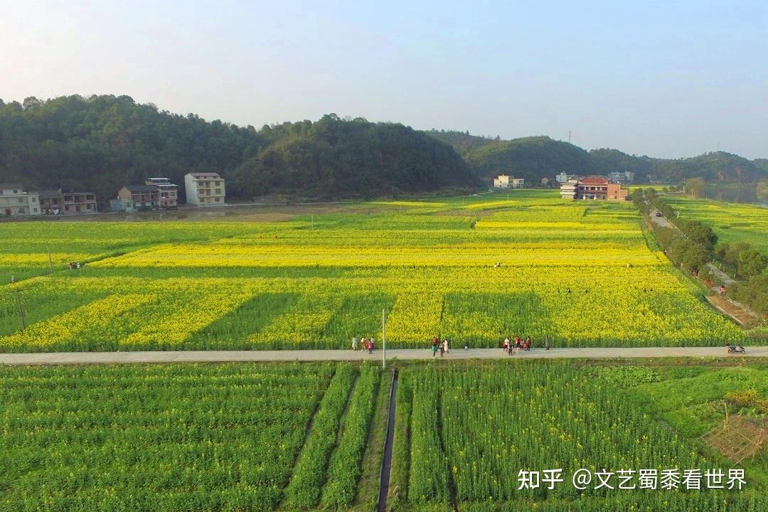 湖南一个宜居小城,名字是皇帝所赐,它是全国首个公交免费的城市 - 知乎