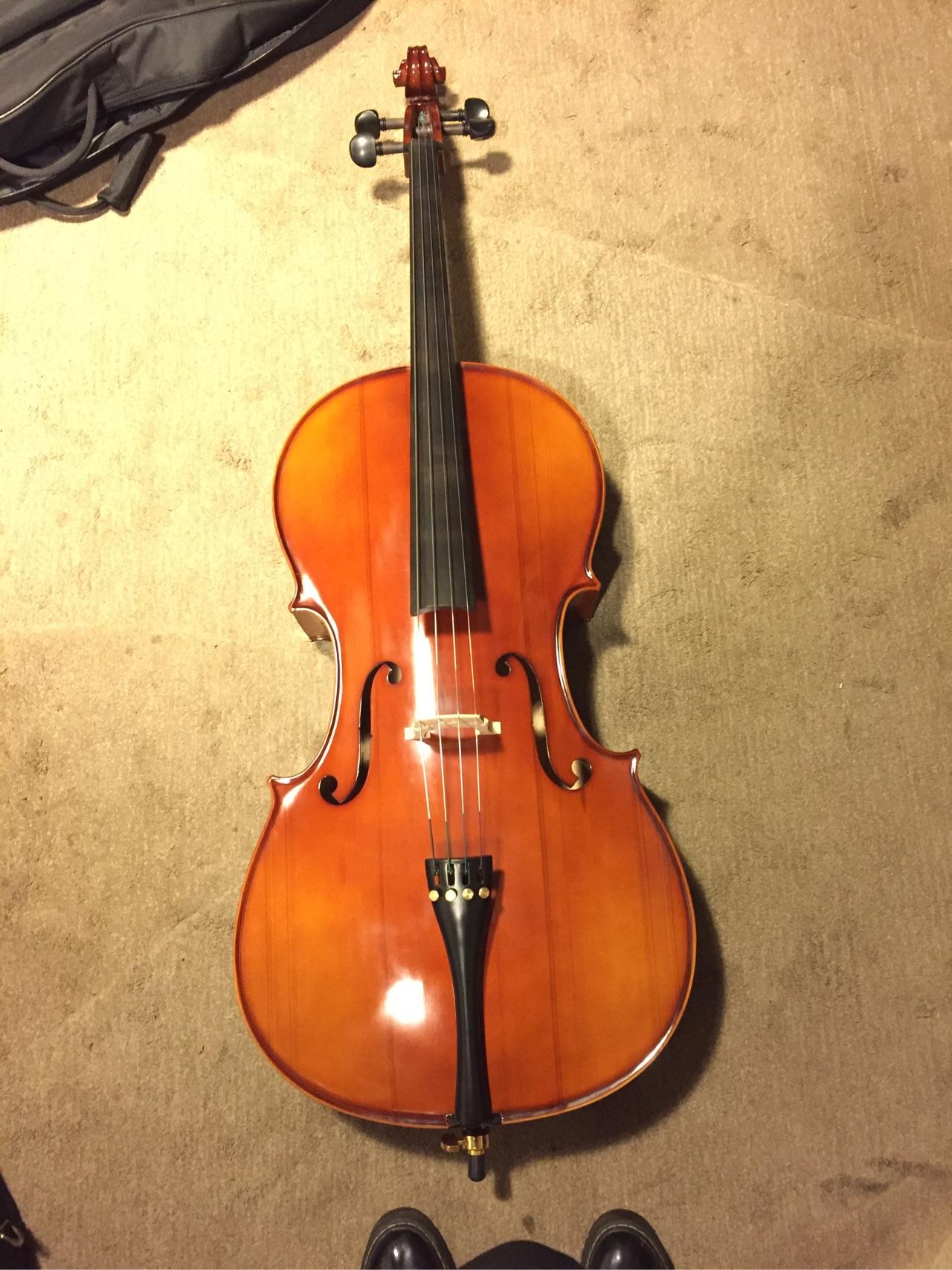 高一想自学大提琴有什么建议