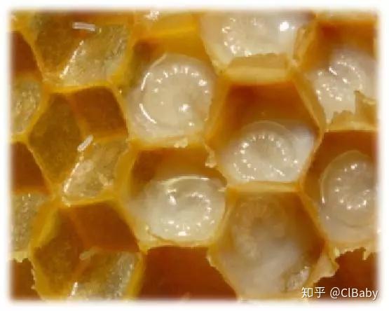 最健康的化妆品_健康化妆美容论文_聚美优品化妆品有假货么
