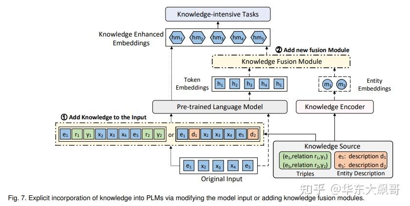 A Survey on Knowledge-Enhanced Pre-trained Language Models - 知乎