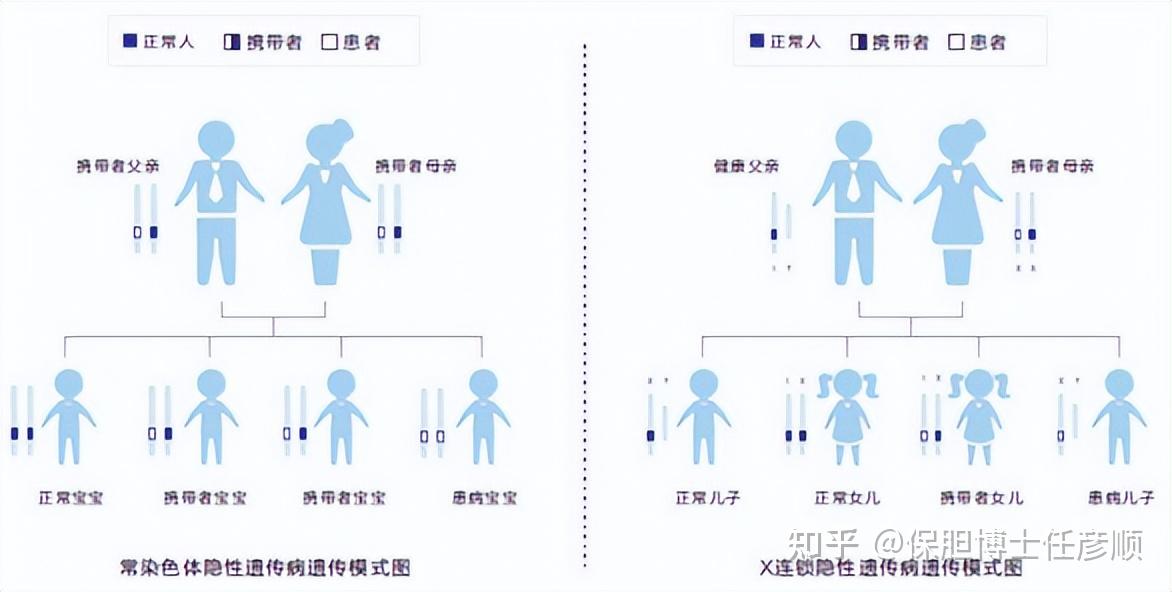 人体常见的遗传性状图片