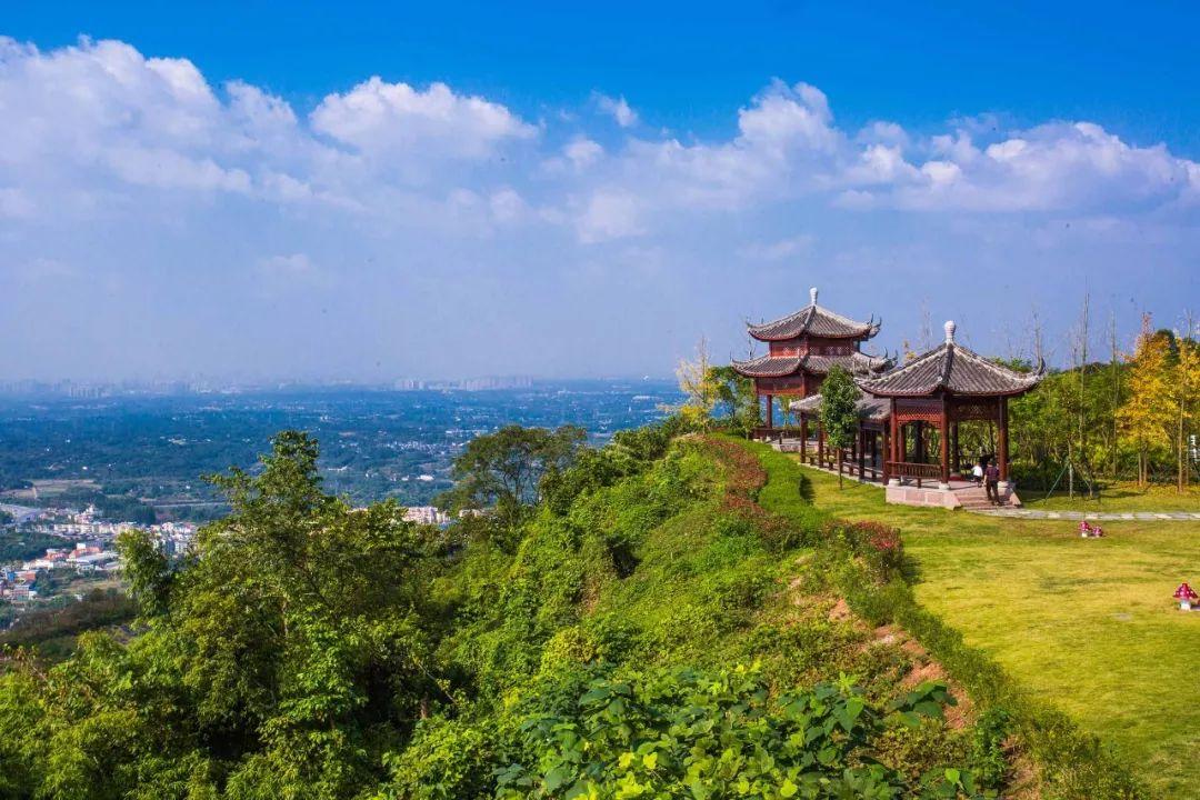 童鞋成都2019实用手册到了请查收