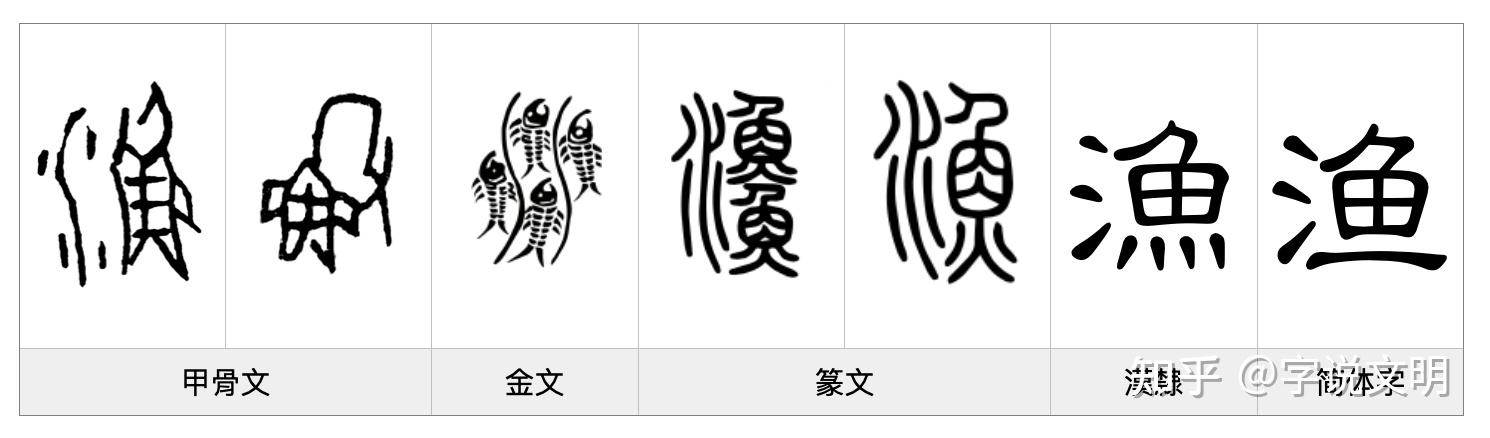 渔——每日一字·鱼部字 - 知乎