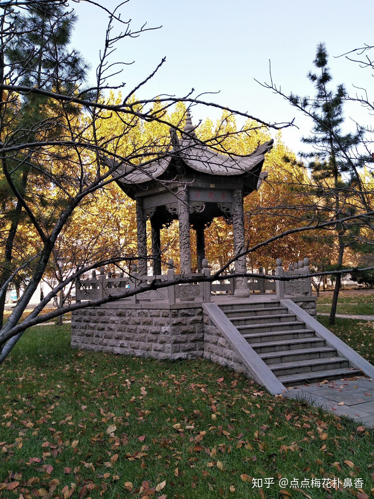 有曲阜师范大学的校园美景分享吗