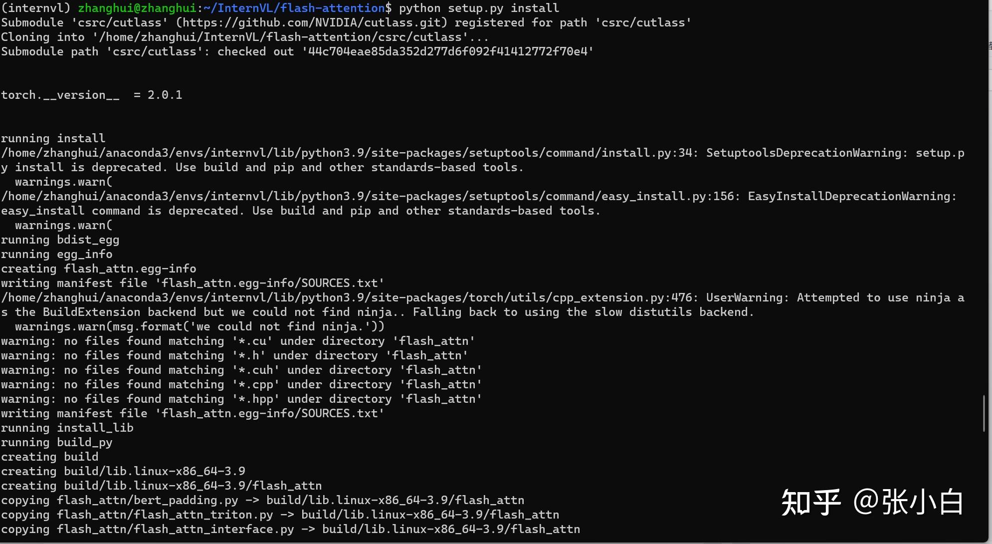 Internvl wsl2 