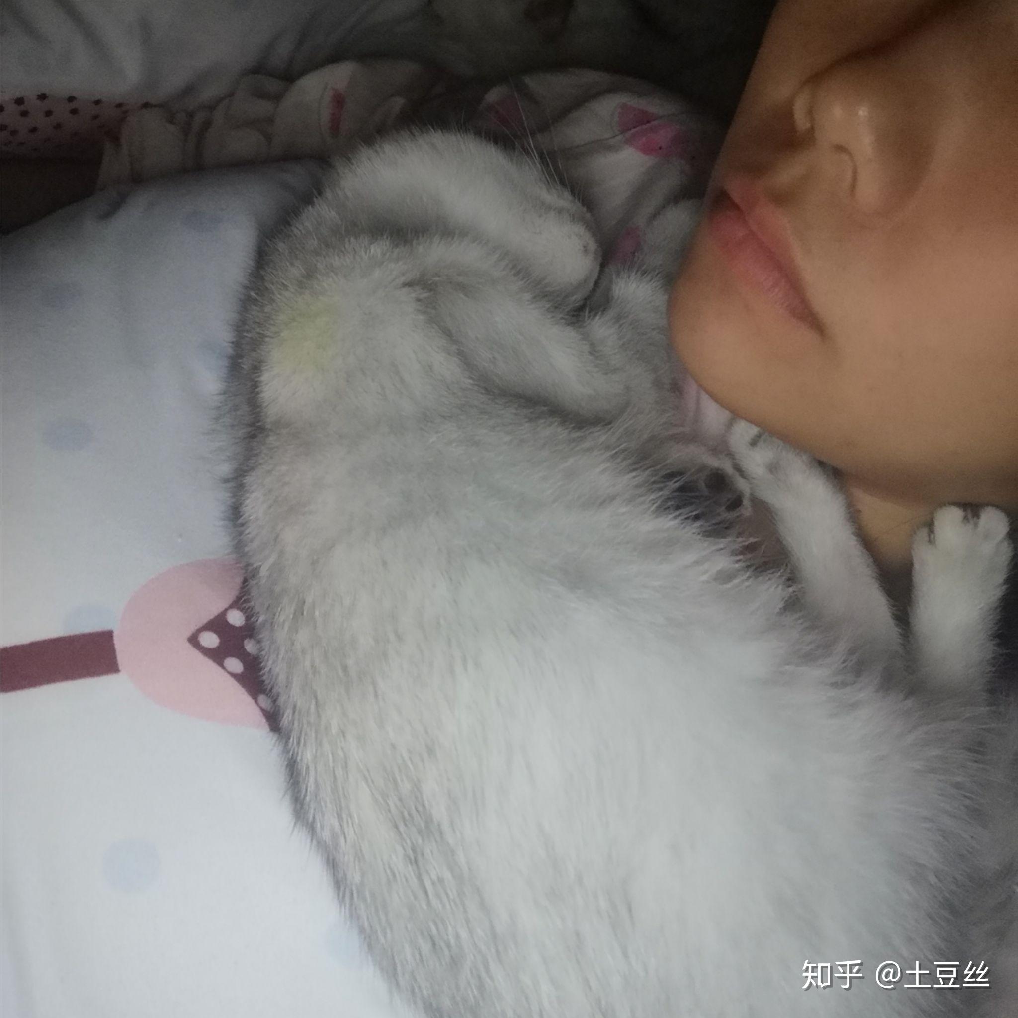 v2-66c936afee2c6d892beecf4855ab9862_r.jpg