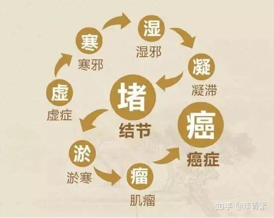 七叶莲酊——抓黄金末伏 促寒湿外排 疗风湿骨痹 - 知乎