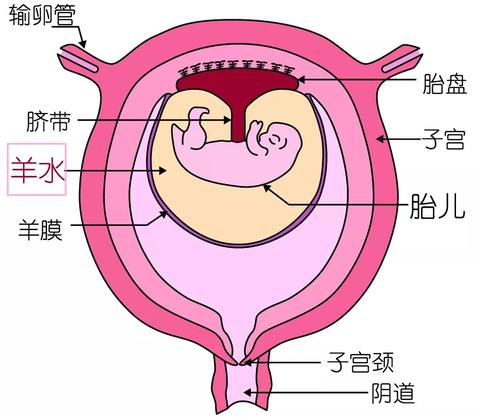 报告显示