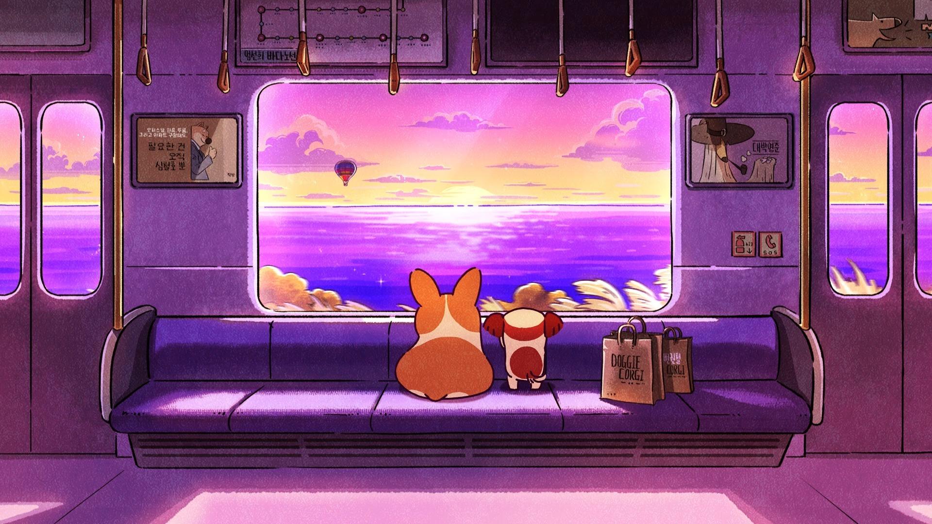 治愈系小短腿柯基ep10