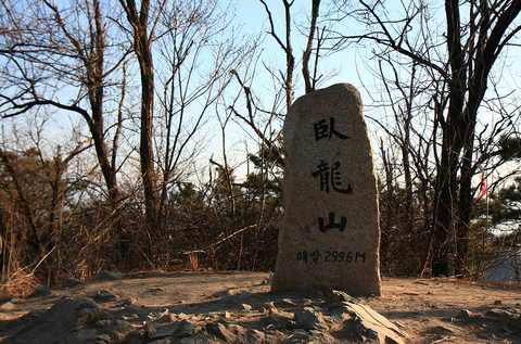 图标