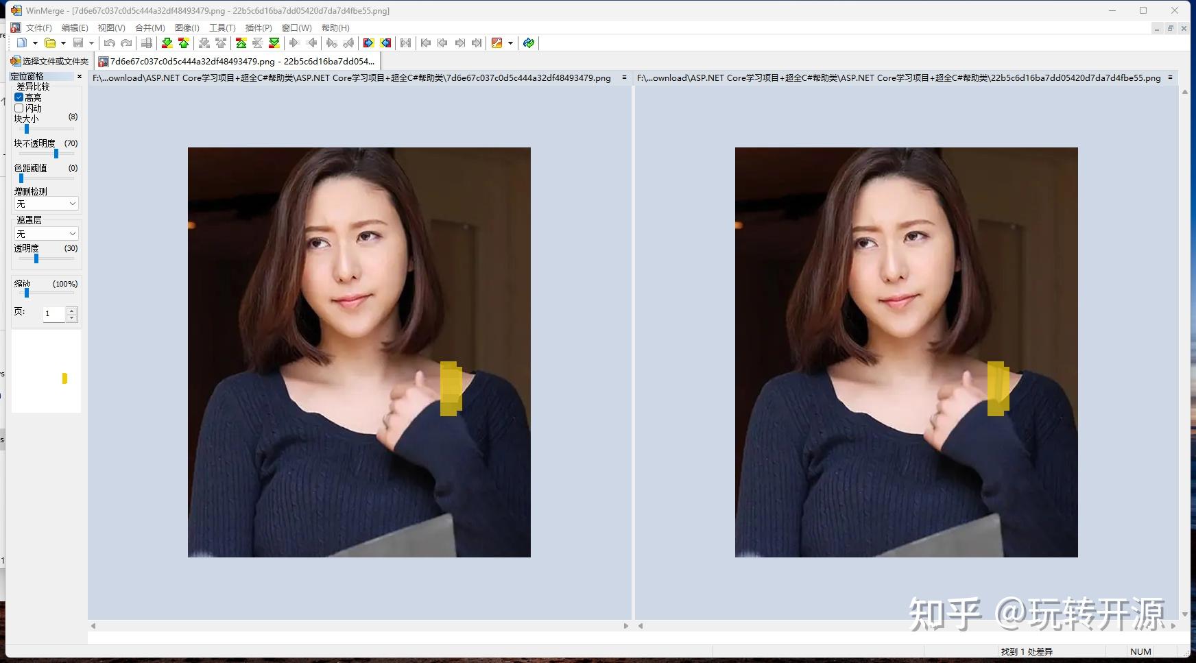  3 winmerge textdiff beyond compare 