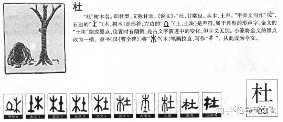 杜-汉字的艺术与中华姓氏文化荀卿庠整理 - 知乎